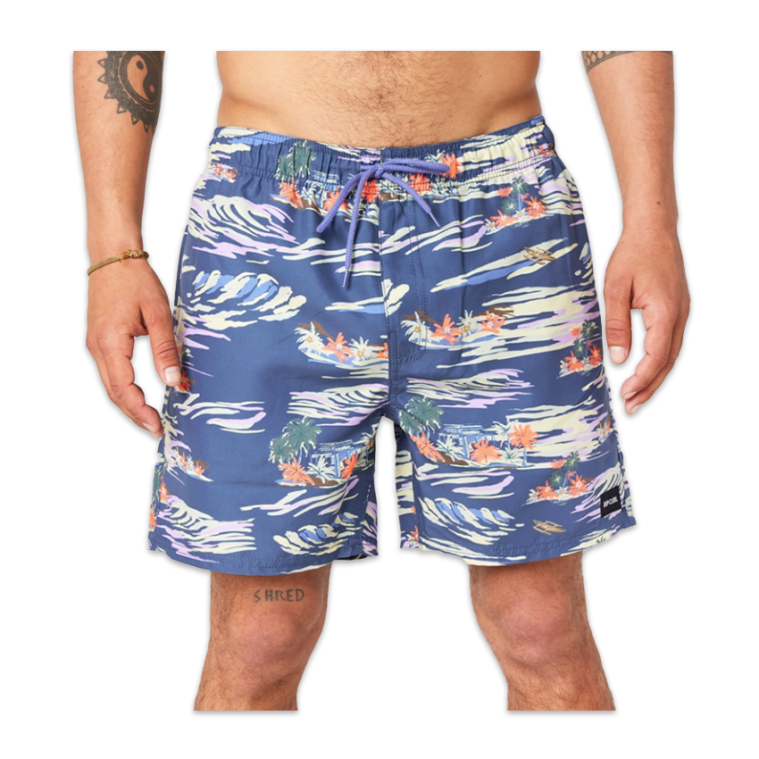 Costume Rip Curl Scenic Volley Swimshort Blu