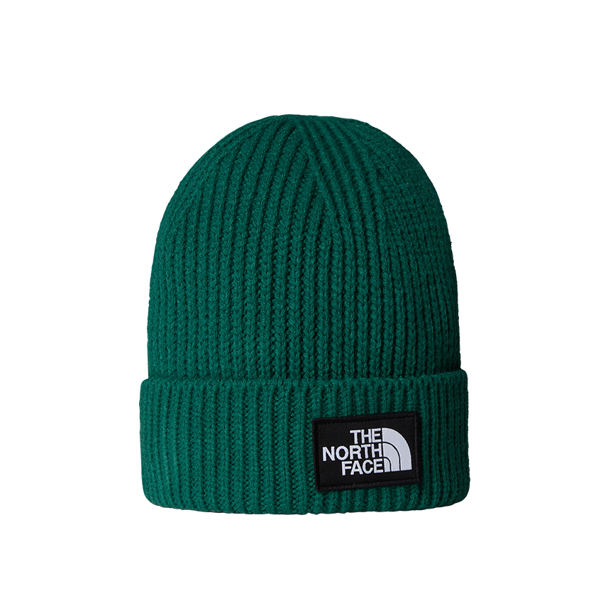 Cappello The North Face Bambino TNF Box Logo Beanie Verde