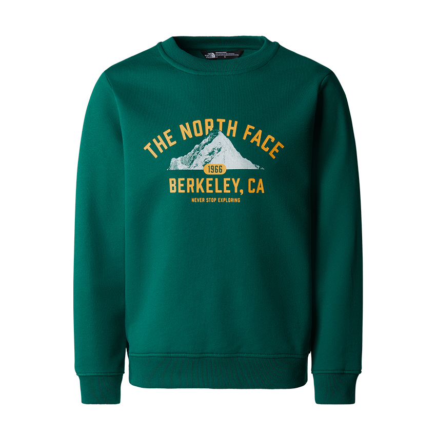 Felpa The North Face Teen Varsity Graphic Relaxed Crew Verde