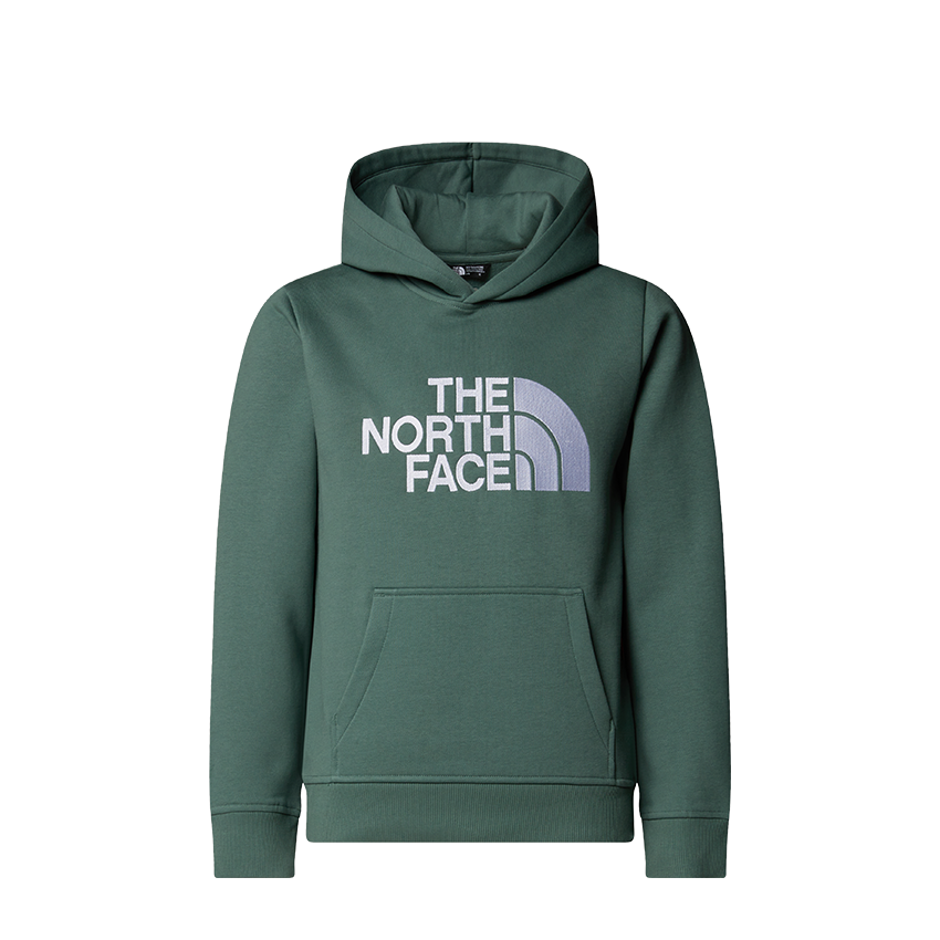 Felpa Bambino The North Face Drew Peak Hoodie Verde